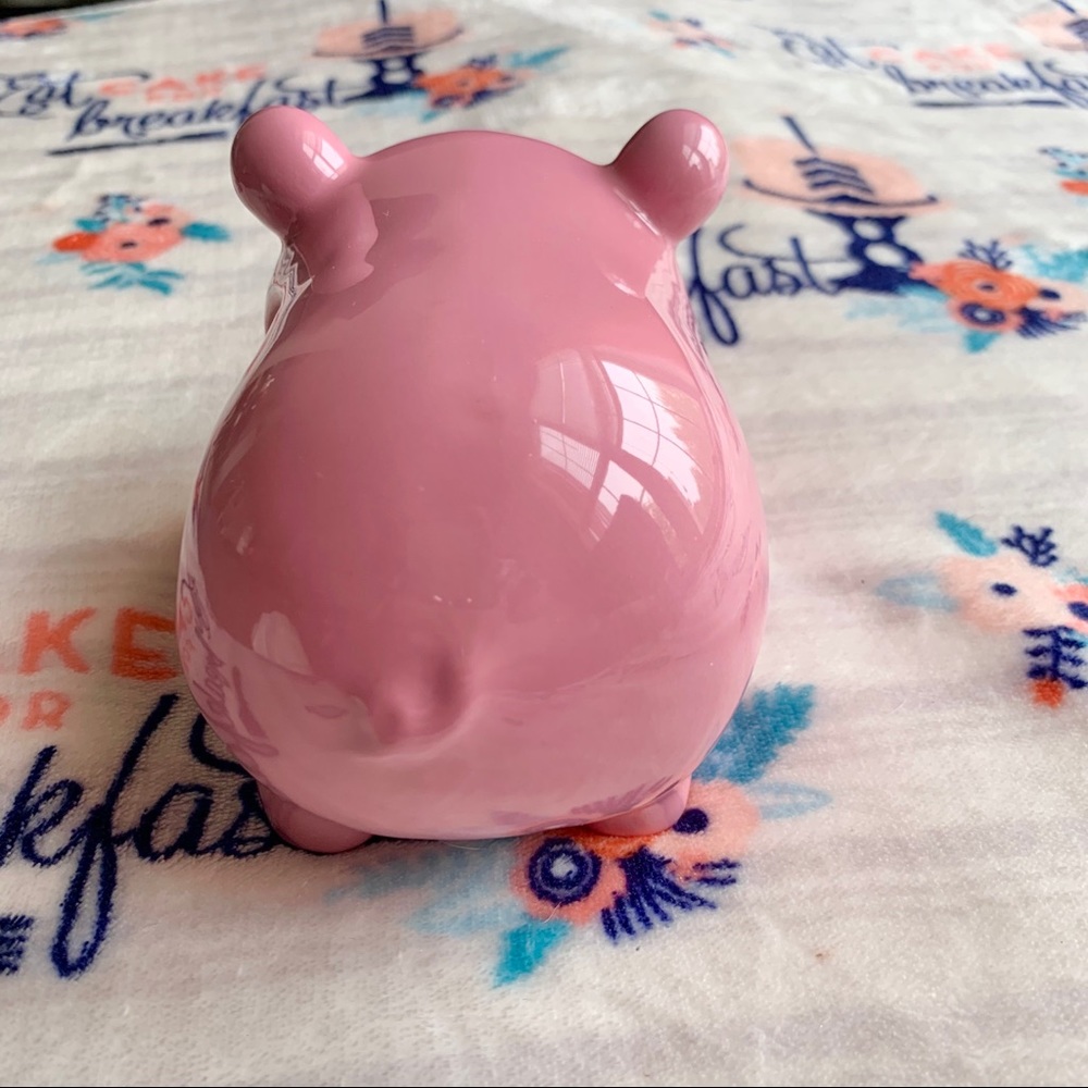 1 LEFT! 🐷 Farmhouse Pig Kitchen Sponge Holder 🐷 - Picture 4 of 7